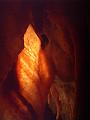 Shawl, Orient Cave, Jenolan Caves IMGP2476